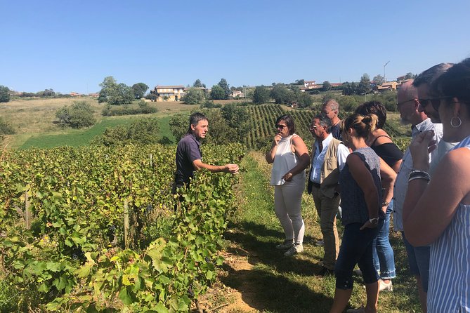 Private Half-Day Tour to Golden Stone Beaujolais With Tastings - Itinerary Details