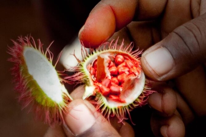 Private Half Day Tour To Quad Bike & Spice Farm - Weather Considerations