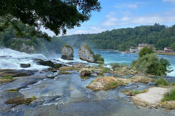 Private Half-Day Tour to the Rhine Falls With Pick-Up at Hotel - Tour Reviews