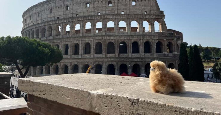 Private Half-Day Tour to Vatican - Good To Know