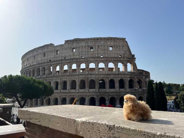 Private Half-Day Tour to Vatican - Itinerary Highlights