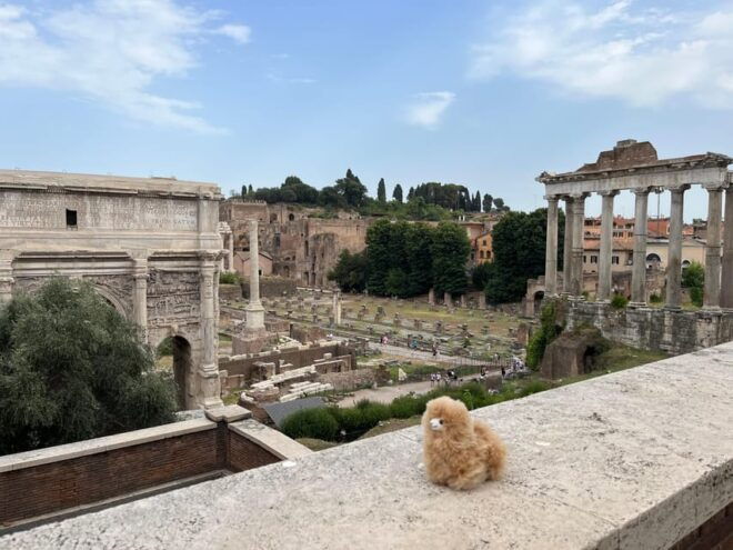 Private Half-Day Tour to Vatican - Frequently Asked Questions
