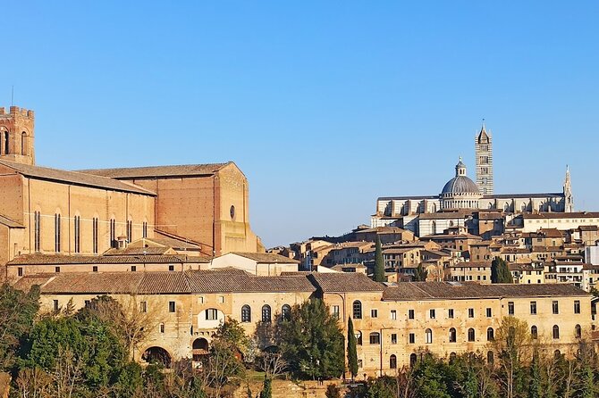 Private Half Day Tour: Visit Siena & Chianti Classic Tour With Wine Experience - Reviews