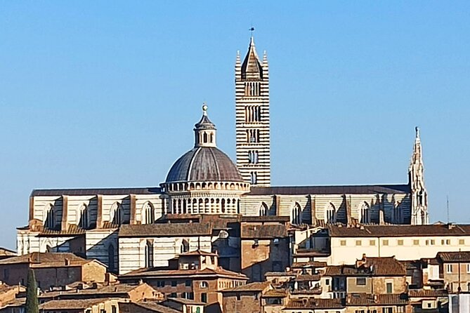Private Half Day Tour: Visit Siena & Chianti Classic Tour With Wine Experience - Tour Operator