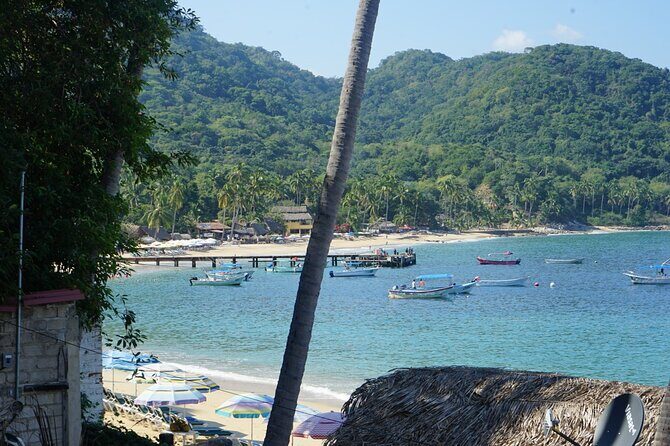 Private Half-Day Tour with Snorkeling at Animas Beach - An In-Depth Look at the Tour Itinerary