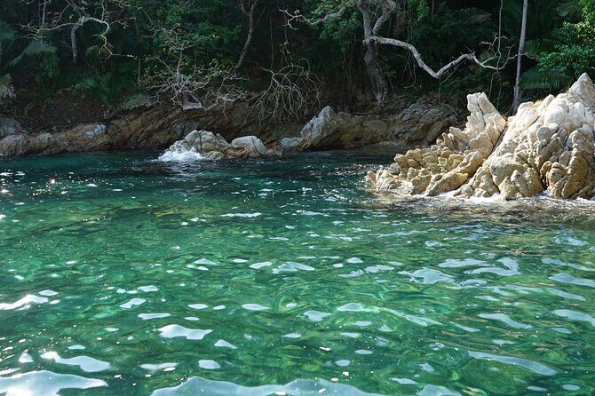 Private Half-Day Tour with Snorkeling at Animas Beach - FAQs