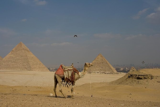Private Half-Day Tours to Giza Pyramids and Sphinx With Camel Ride - Price Details