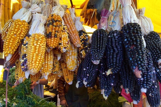 Private Half-Day Traditional Markets Street Food Tour in Mexico City - Reviews