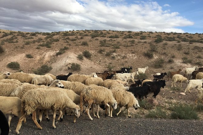 Private Half-day Trip To Ourika Valley From Marrakech Including Camel Ride - Additional Information