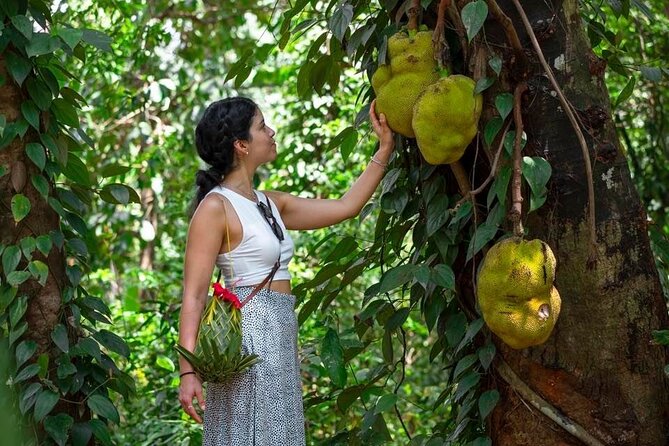 Private Half Day Trip to Spice Farms & Stone Town City Zanzibar - Accessibility Information