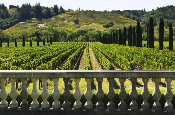 Private Half Day Txakoli Wine Tour & Getaria Fishing Village - Tour Details