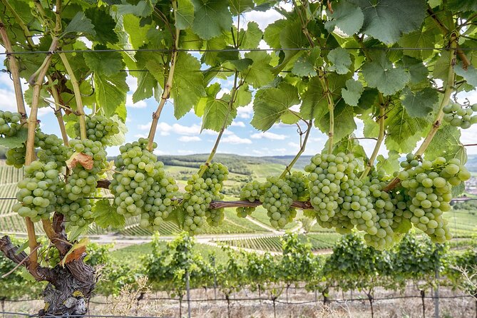 Private Half Day Txakoli Wine Tour & Getaria Fishing Village - Exploring Getaria Fishing Village