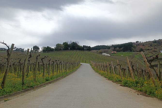 Private Half Day Txakoli Wine Tour & Getaria Fishing Village - Customer Reviews and Testimonials