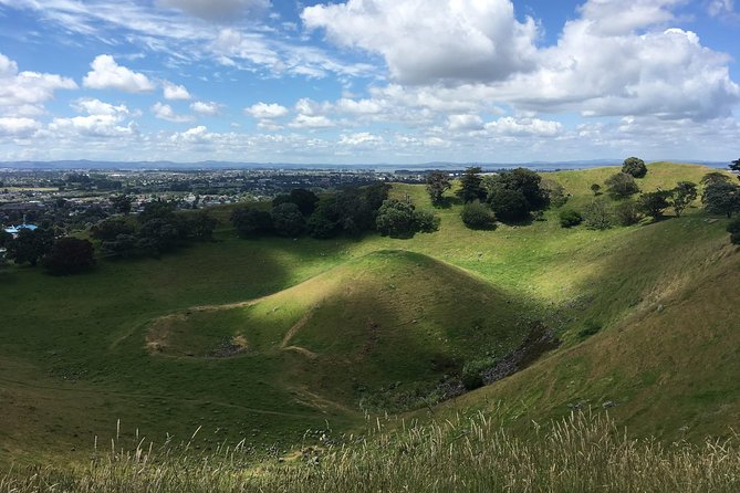 Private Half-Day Volcano Tour From Auckland - Additional Information