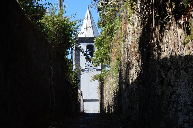 Private Half-Day Walking Tour of Horta Experience - Reservation Process