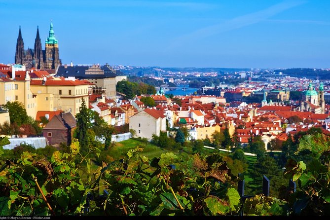 Private Half-Day Walking Tour of Pragues Highlights - Meeting and Pickup
