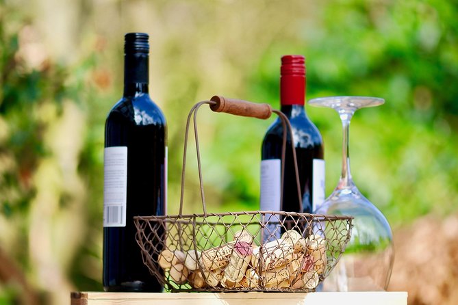 Private Half Day Wine Tasting Tour: Road of the Doges - Tour Details
