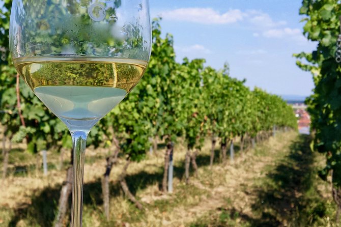Private Half Day Wine Tasting Tour: Road of the Doges - Directions to the Winery