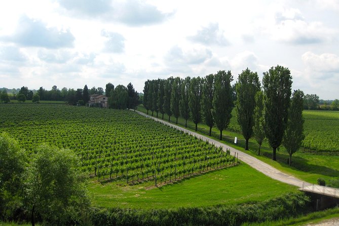 Private Half Day Wine Tasting Tour: Road of the Doges - Tips for a Memorable Wine Tasting Experience
