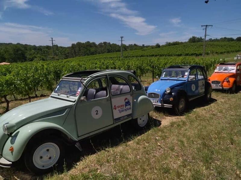 Private Half-Day Wine Tour in Citroën 2CV - Final Thoughts
