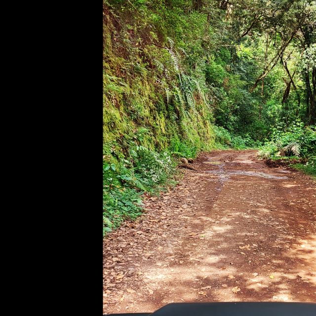 Private Halfday & Eucalyptus Forest Offroad - Activity Details