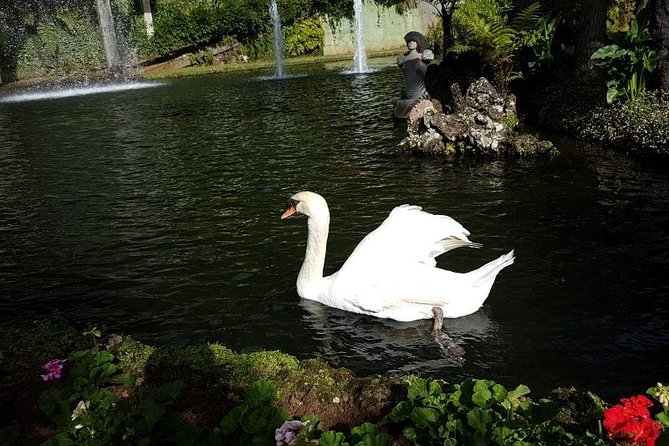 Private Halfday Madeira Garden Tour - Cancellation Policy