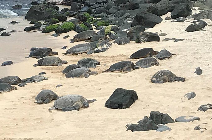 Private Halfway to Hana Tour - Exploring the Maui Halfway to Hana Tour