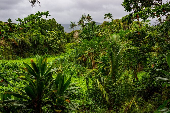 Private Halfway to Hana Waterfall & Garden of Eden Tour - Booking Information