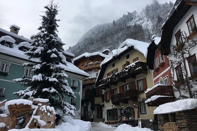 Private Hallstatt Tour With Tour End in Vienna - The Sum Up