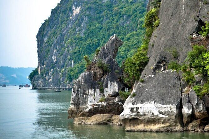 Private Halong Bay Day Tour: Transfer, Lunch, Guide, Entrance Fee - Who Would Love This Tour?