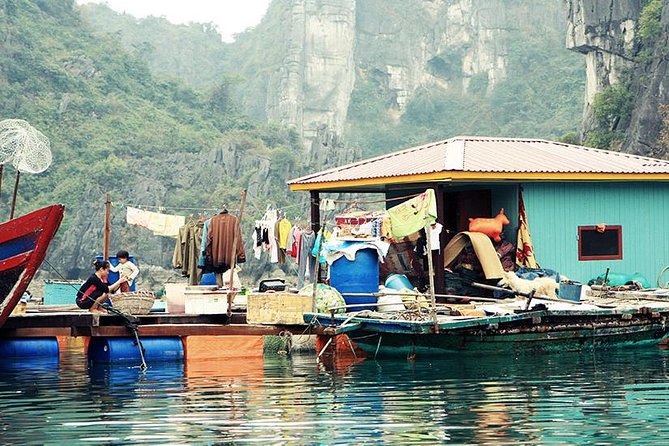 Private Halong Bay In Day - Private Tour for You and Your Party