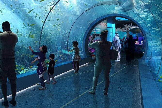 Private Hamad Port Tour in Mesaieed Aquarium Maritime Museum - Tour Highlights