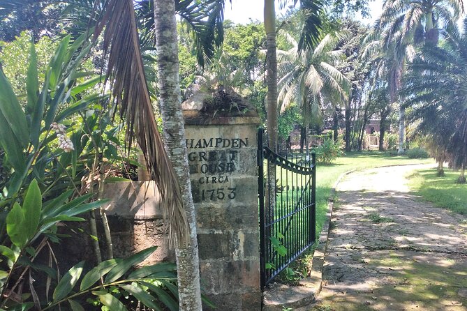 Private Hampden Estate Rum Tour From Montego Bay or Falmouth - Pickup and Return Information