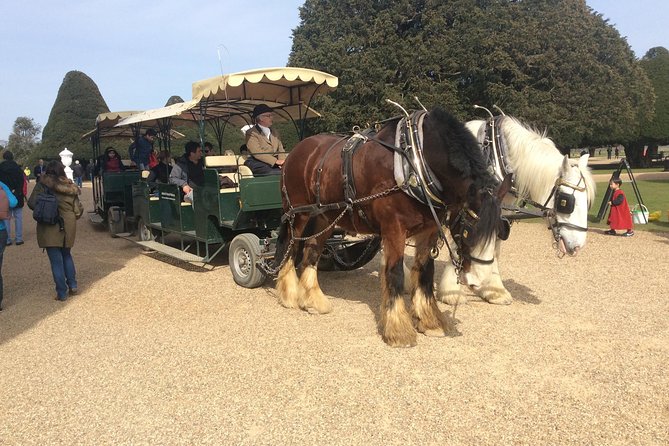 Private Hampton Court Palace Tour - Cancellation Policy and Customer Reviews