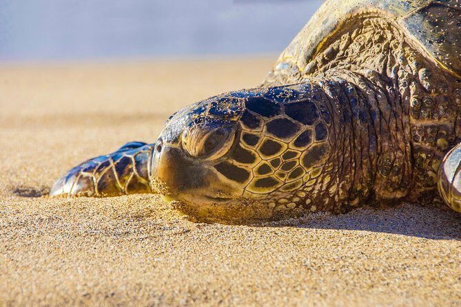 Private Hana Highway Highlights - In The Sum Up