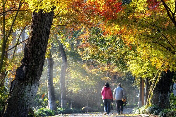 Private Hangzhou Car and Walking Tour - Good To Know