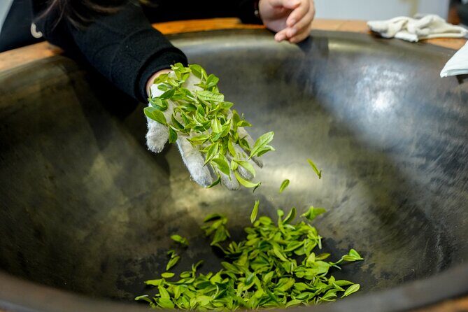 Private Hangzhou Car and Walking Tour - Who Should Consider This Tour?