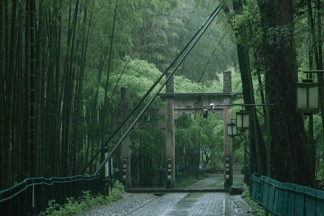 Private Hangzhou Car and Walking Tour - Final Thoughts