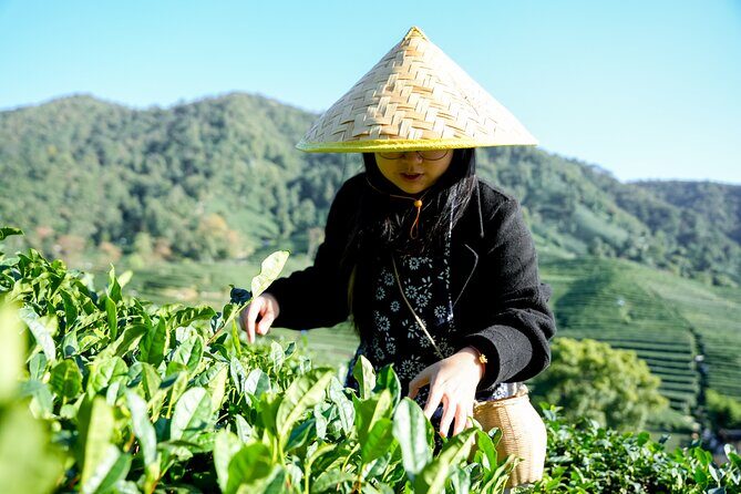 Private Hangzhou Car and Walking Tour - Frequently Asked Questions