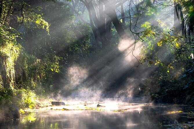 Private Hangzhou Car and Walking Tour - Introduction