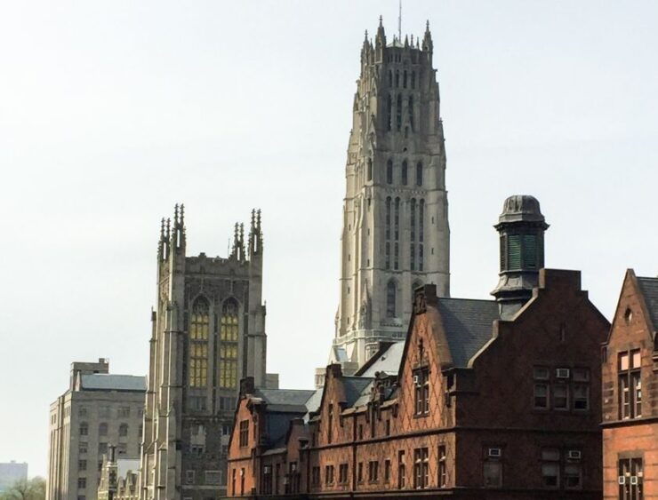 Private Harlem Historical Tour in New York City - Activity Details