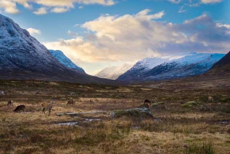 Private Harry Potter Day Tour For Small Groups - Tour Experience