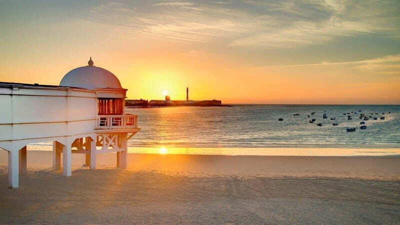 Private Healthy Food Experience and Walking Tour in Cadiz - Why This Tour Delivers Value