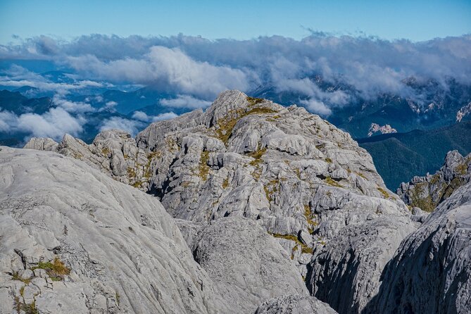 Private Helicopter Sightseeing: Lord of the Rings in Kahurangi  - Nelson - Reviews