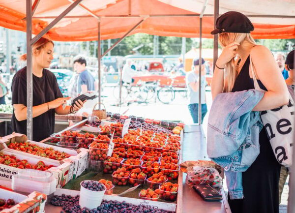 PRIVATE Helsinki City Tour With Food Tasting and Transfer - Suitable Travelers
