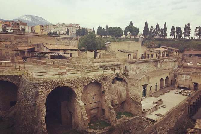 Private Herculaneum Guided Tour With an Archeologist - Cancellation Policy