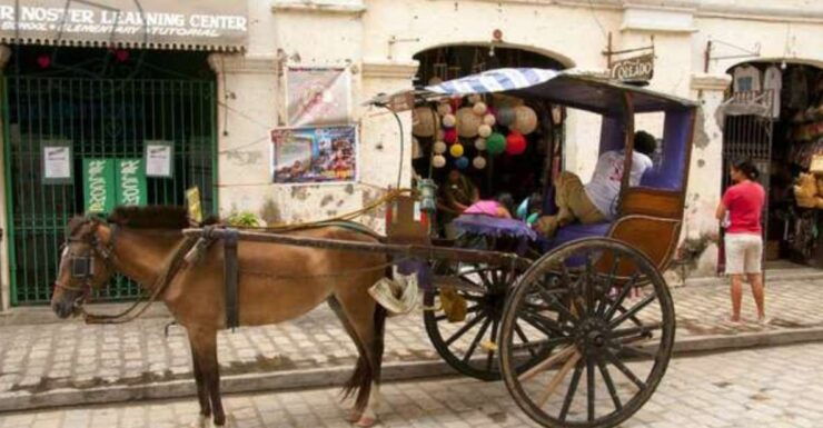 Private Heritage and Adventure: Vigan to Laoag Escapade - Booking and Reservation Details