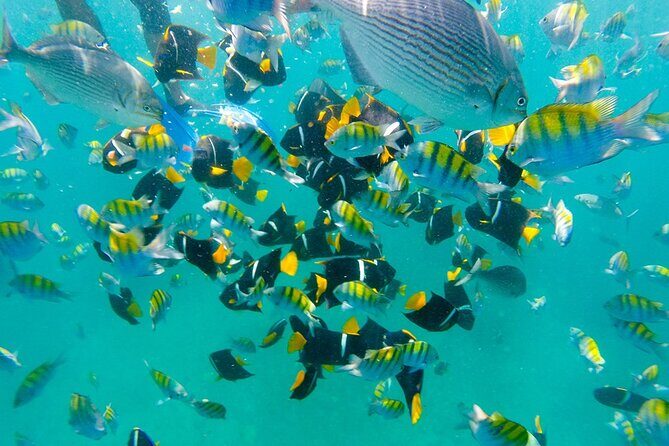 Private Hidden Beach from Punta de Mita - What to Expect from the Tour: A Detailed Breakdown