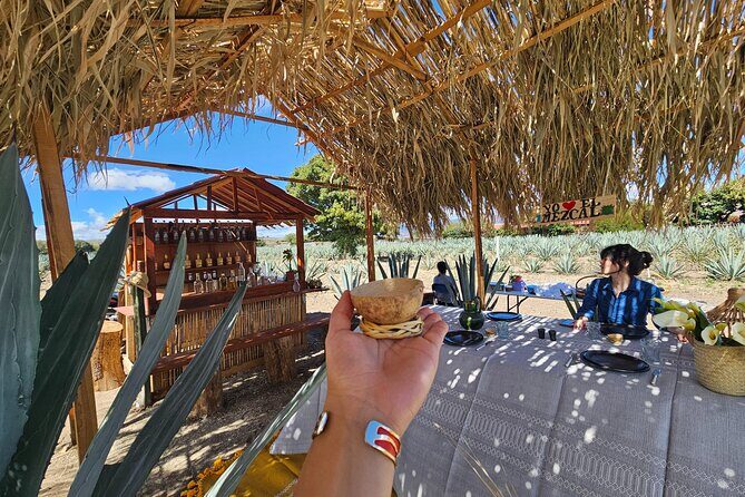 Private: Hierve El Agua, Mitla, Mezcal and Lunch in Maguey Fields - Enjoying Lunch in Maguey Fields