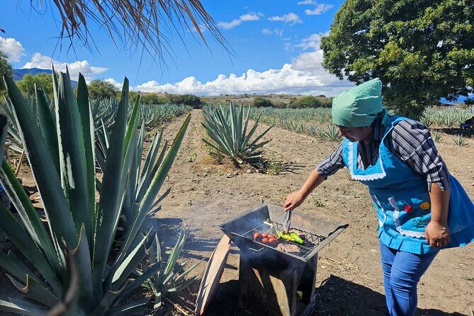 Private: Hierve El Agua, Mitla, Mezcal and Lunch in Maguey Fields - Visiting Mezcal Distilleries